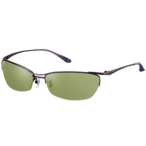 画像: RAYBAN RB3315 004/82 レイバン　2006モデル